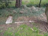 image of grave number 768284